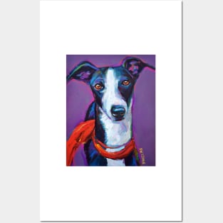 Italian Greyhound with Scarf Posters and Art